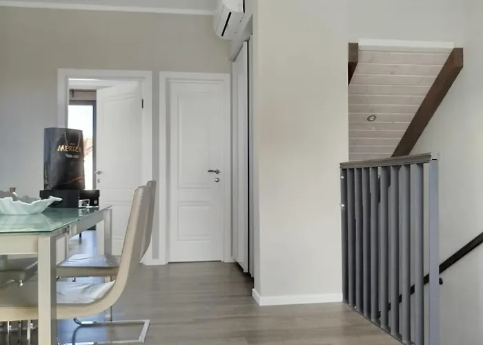 Deko-lime * Ljubljana